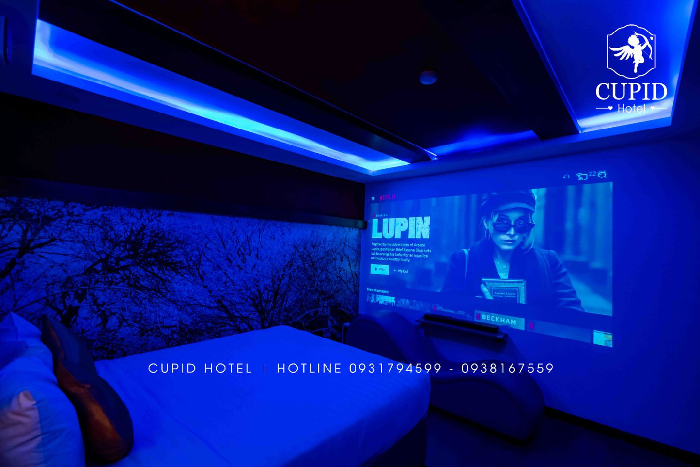 Hạng phòng: SUPERIOR